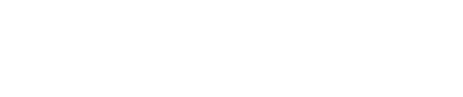 Cyberhaven Labs